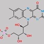 Riboflavin Phosphate Sodium CAS#: 130-40-5