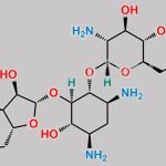 Ribostamycin CAS#: 25546-65-0