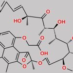 Rifamycin Y CAS#: 15271-73-5