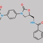 Rivaroxaban N-methylphthalamido Analog CAS#: 2206360-74-7