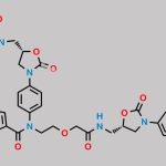 Rivaroxaban EP Impurity J CAS#: 1632463-24-1