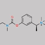 Rivastigmine N-Oxide CAS#: 1369779-37-2