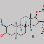 Rocuronium EP Impurity E CAS#: 1190105-65-7
