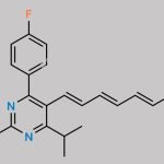 Rosuvastatin 2,3,4,5-Dianhydro Acid Methyl Ester CAS#: N/A
