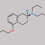 Rotigotine EP Impurity J CAS#: N/A