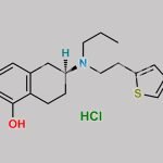 Rotigotine Hydrochloride CAS#: 125572-93-2