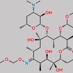 Roxithromycin EP Impurity E CAS#: 1460313-66-9