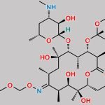 Roxithromycin EP Impurity F CAS#: 118267-18-8