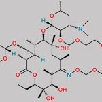 Roxithromycin EP Impurity I CAS#: 425365-66-8