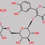 Rutin Trihydrate CAS#: 250249-75-3