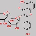 Rutoside EP Impurity B CAS#: 17650-84-9