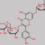 Rutoside EP Impurity E CAS#: 81970-00-5