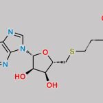 S-Adenosyl-L-Homocysteine CAS#: 979-92-0