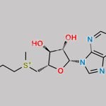 S-Adenosylmethioninamine CAS#: 22365-13-5