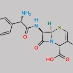 S-Cefaclor Delta Isomer CAS#: 1448901-95-8