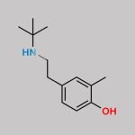 Salbutamol EP Impurity H CAS#: 132183-64-3