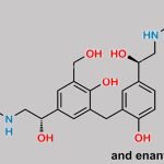 Salbutamol EP Impurity N Isomer 2(SR+RS) CAS#: N/A