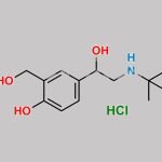 Salbutamol Hydrochloride CAS#: 51293-66-4