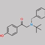 Salbutamol Impurity 8 CAS#: 62508-15-0
