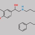 Salmeterol EP Impurity C CAS#: 94749-11-8