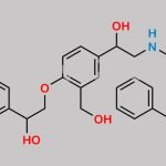 Salmeterol EP Impurity D CAS#: 1391052-04-2