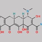 Minocycline EP Impurity B CAS#: 808-26-4