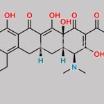 Sarecycline CAS#: 1035654-66-0