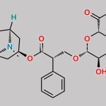 Scopolamine Glucuronide CAS#: 17660-02-5