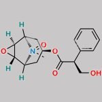 Scopolamine N-Oxide CAS#: 97-75-6