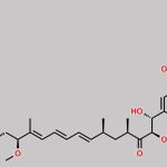 Seco Rapamycin CAS#: 147438-27-5