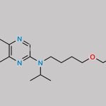 Selexipag Impurity 2 CAS#: 2287345-22-4