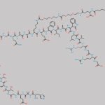 Semaglutide Impurity 11 CAS#: N/A