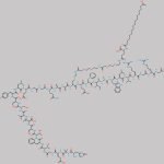 Semaglutide Impurity 12 CAS#: N/A