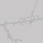 Semaglutide Impurity 13 CAS#: N/A