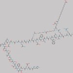 Semaglutide Impurity 16 CAS#: N/A
