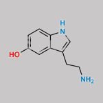 Serotonin CAS#: 50-67-9