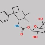 Sibutramine Impurity 2 CAS#: N/A