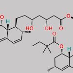 Simvastatin EP Impurity D CAS#: 476305-24-5