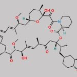 Sirolimus CAS#: 53123-88-9
