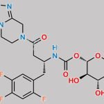 Sitagliptin Carbamoyl Glucuronide CAS#: 940002-59-5