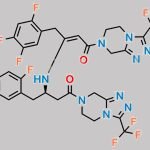 Sitagliptin Impurity B CAS#: 2955636-26-5