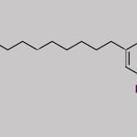 Sodium 4-Dodecylbenzenesulphonate CAS#: 2211-98-5