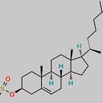 Sodium Cholesteryl Sulfate CAS#: 2864-50-8