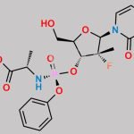 Sofosbuvir 3'-O-Phosphoramidate CAS#: 1337482-15-1