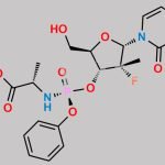 Sofosbuvir 3'-O-Phosphoramidate alpha-Isomer CAS#: N/A