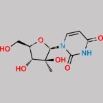 Sofosbuvir Impurity 35 CAS#: 114262-49-6