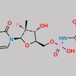Sofosbuvir Impurity 74 CAS#: 1233335-78-8