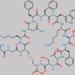 Somatostatin CAS#: 38916-34-6