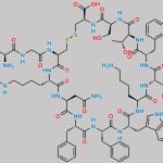 Somatostatin EP Impurity D CAS#: N/A
