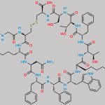 Somatostatin EP Impurity E CAS#: N/A